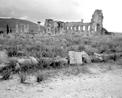 The ancient Roman ruins at Volubilis cover at least 14 acres. We spent several hours exploring the hillside area. Photo: Gilbert