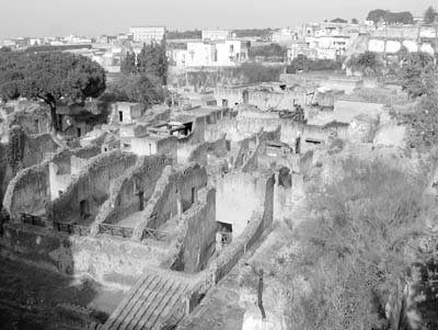 The eruption of Mt. Vesuvius in A.D. 79 laid waste to Herculaneum with a flood of hot mud, which sealed and protected whole buildings.