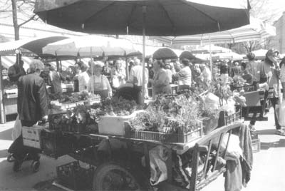 Shopping at the Central Market in Ljubljana.