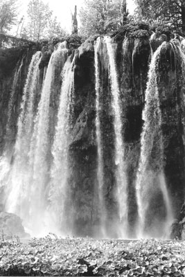 Tumbling cascades in Plitvice Lakes National Park.