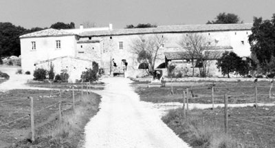 The approach to Domaine du Soleil. Photos: Schauss