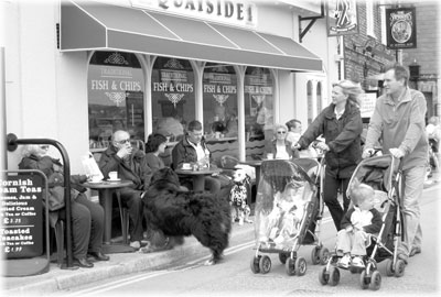 Waterfront street scene in Padstow.