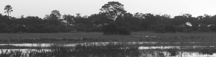 Sunset at Selinda Camp.