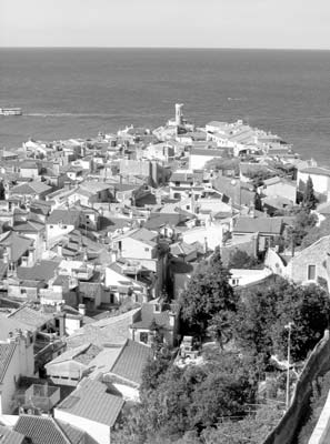 Overview of Piran. 