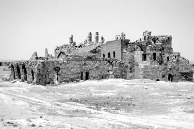 The ancient Resafa Fortress in eastern Syria.