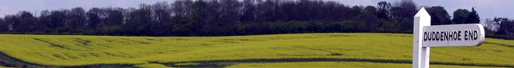 Fields of golden rape lined the roadways on our journey through England.