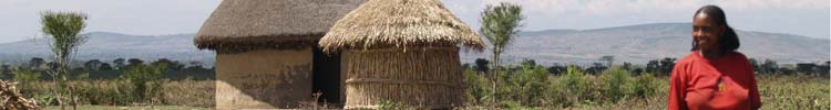 A typical compound of tukuls, such as those seen throughout the south, which we encountered on the way from Addis Ababa to Arba Minch.