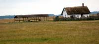  Some areas of the puszta look like the Western prairie of the United States.