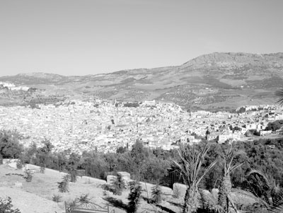 The sprawling medina of Fez, Morocco. Photo: Goodhead