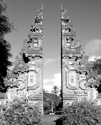 Scene in Bali, Indonesia.