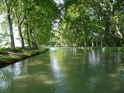 Trees bordered most of the canal on our route. Photos: Clemons