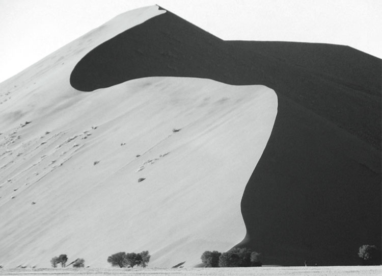 The Namib Desert