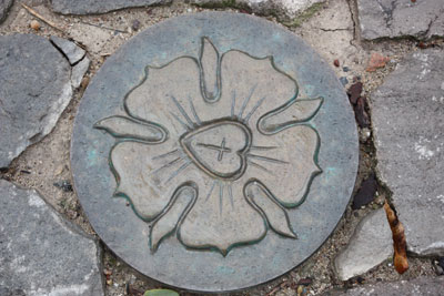 A Luther rose in the courtyard of Martin Luther’s birth house in Lutherstadt Eisleben, Germany. Photo by Debi Shank, ITN