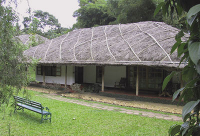 Our Spice Village cottage at Thekkady, Kerala, India. Photo: Towler