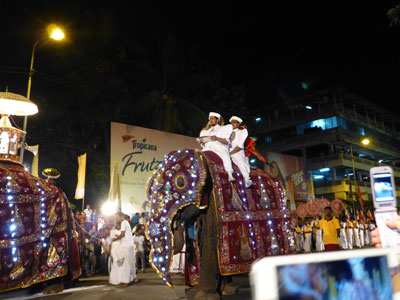 Men riding an elephant covered in a scarlet robe in Colombo’s Navam Perahera. Photo by Nili Olay