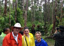 Stephen, Madeleine and Vera with orangutans in Tanjung Puting National Park, Indonesia. Photos by Stephen Dem