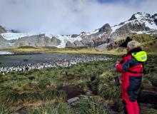 View of king penguin colony, Gold Harbour, South Georgia.