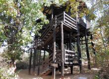 Our accommodations at Pench Tree Lodge.