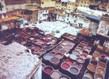 Chouara Tannery