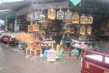 This man was selling birds (probably canaries), cages, food and other items at a