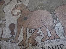 Twelfth-century mosaics portraying fantastical beasts and stories from the Bible can be found on the floor of Otranto Cathedral. Photos by Thom Wilson