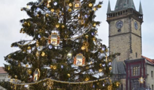 A Christmas market scene in Prague, Czechia, with the Old Town Hall in the background.