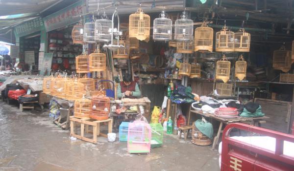 This man was selling birds (probably canaries), cages, food and other items at a