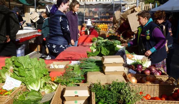 On ASI Tours' “Around Australia Tour” in March 2020, we visited Salamanca market in Hobart, Tasmania. Photo by Pat Hines