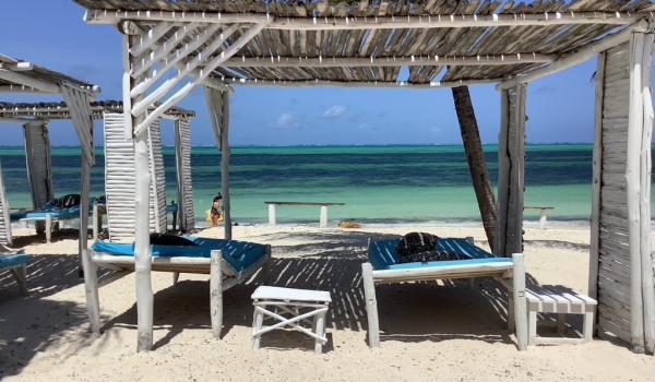 An idyllic, peaceful scene — palm-tree shade, white sand and the turquoise ocean.