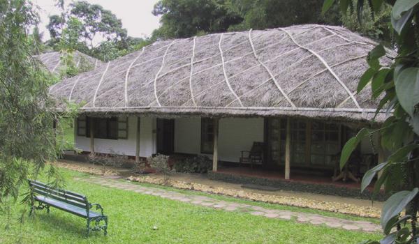 Our Spice Village cottage at Thekkady, Kerala, India. Photo: Towler