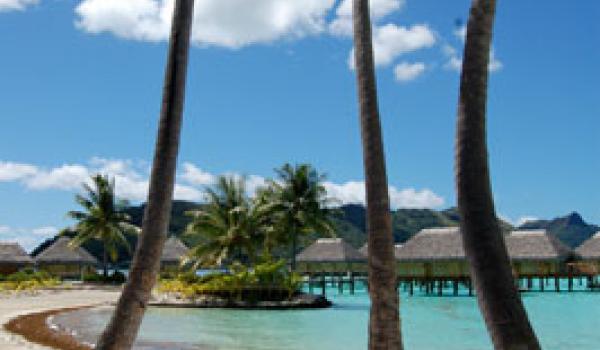 An azure sky, towering palms and turquoise waters — idyllic Bora Bora. Photo by 