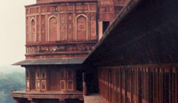 A glimpse of Delhi’s Red Fort. Photo by Elizabeth Habian, ITN