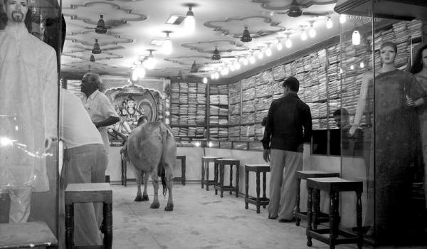 In Varanasi, seeing is believing, including a bull in a fabric shop.