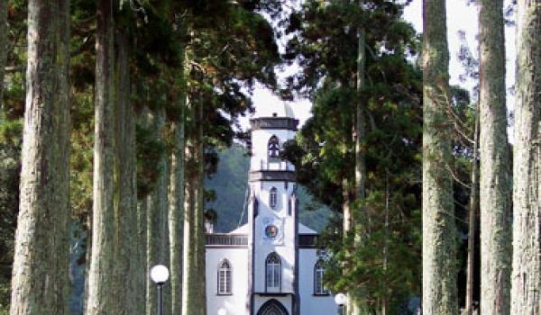 Magnificent stands of trees grace the Sete Cidades landscape. Photos: Gail Keck