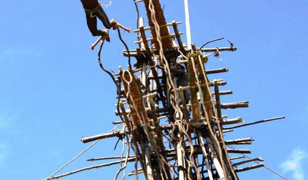 During the April-to-June yam festival on Pentecost island, land divers risk life and limb to show their masculine prowess.