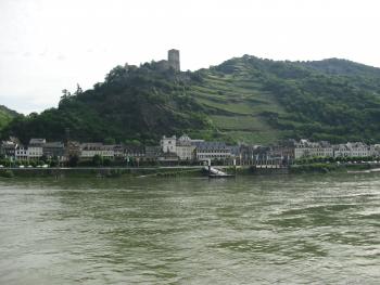 Vineyard and medieval tower along the Rhine.