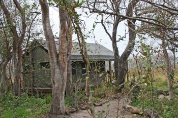 Ray and Wanda Bahde listened to vivid night sounds from elephants, hippos, hyenas and frogs just beyond the canvas of their tent in the Okavango Delta, Botswana.