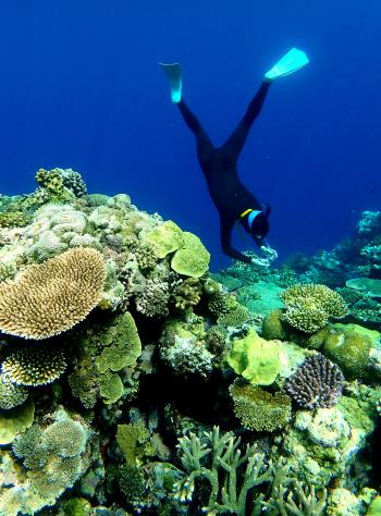 Eirik Cabot diving in Marovo Lagoon, Solomon Islands.