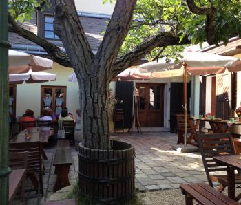 Patio of the Obermann Heuriger in Vienna. Photos by Kitty Chen Dean