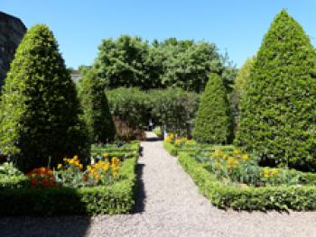 Parterres edged with hedges. Photos by Yvonne Michie Horn