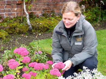 Anja Gohlke, head gardener at Kylemore Abbey's Victorian walled garden.