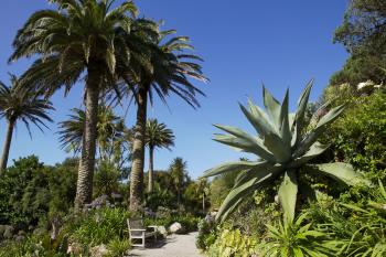 A pathway in the garden — Tresco island, Scilly Isles, UK. Photo courtesy of Tresco Abbey Garden