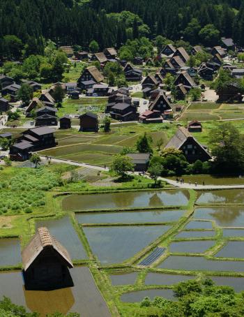 Gasshō-zukuri-style homes in Shirakawa-gō, a UNESCO World Heritage Site.