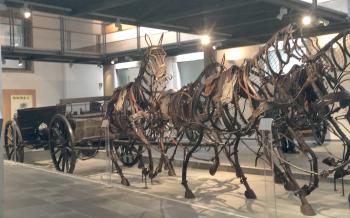 On display at the Angra do Heroísmo Museum, in the former Convent & Church of St. Francis, figures of horses pulling a carriage-mounted artillery cannon. Photo by Steve Plotkin