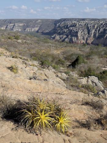 In Brazil’s Pernambuco state, Catimbau National Park has a number of rock art sites to see.