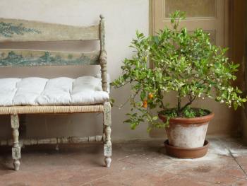 A quiet corner at the Villa Medici in Fiesole.