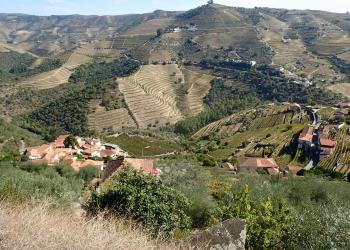 The Langhe Hills in Piedmont, Italy.