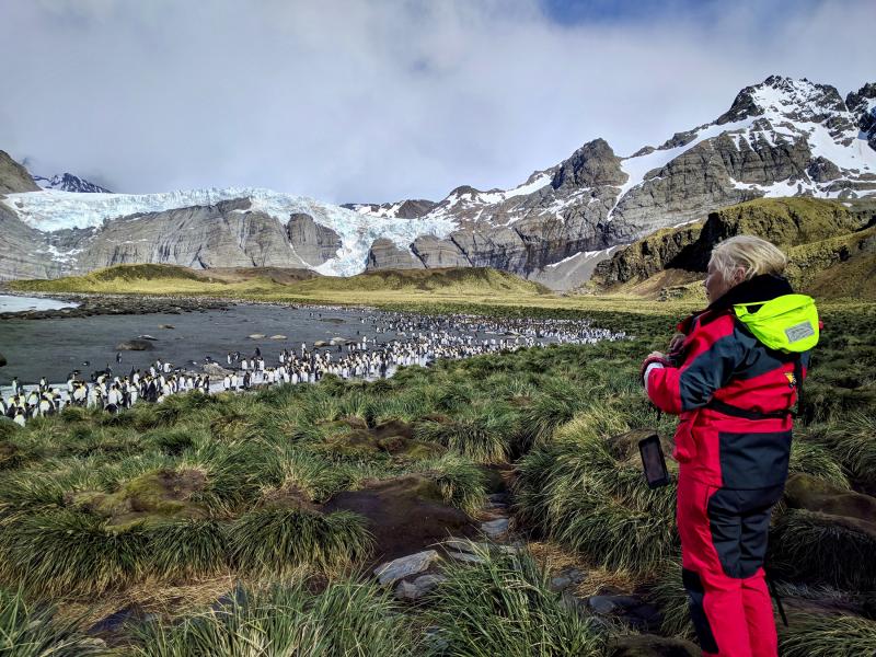 View of king penguin colony, Gold Harbour, South Georgia.